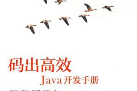 百度网盘码出高效：Java教程开发手册 pdf电子书籍下载