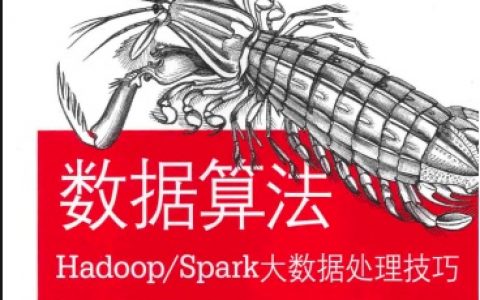 数据算法 Hadoop Spark大数据处理技巧pdf电子书籍下载百度网盘