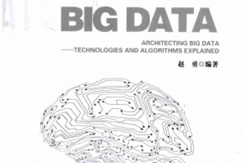 架构大数据-大数据技术及算法解析pdf电子书籍下载百度网盘