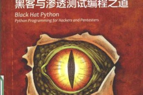 Python教程黑帽子 黑客与渗透测试编程之道pdf电子书籍下载百度网盘