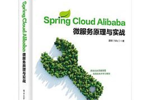 Spring Cloud Alibaba 微服务原理与实战 Cloud pdf电子书籍下载百度云