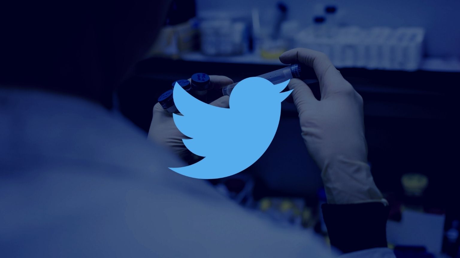 2022年11月24日Twitter购买平台（多个推特账号免费分享）