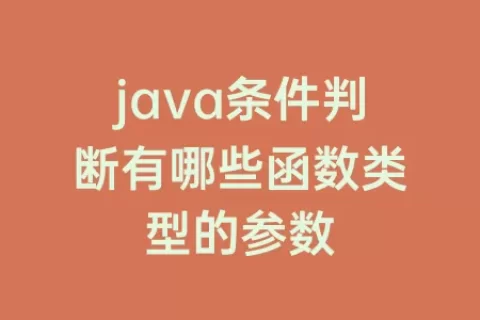 java条件判断有哪些函数类型的参数