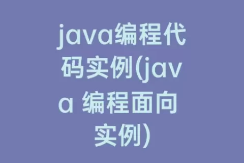 java编程代码实例(java 编程面向 实例)