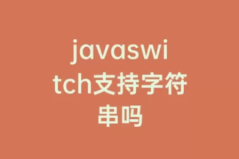 javaswitch支持字符串吗