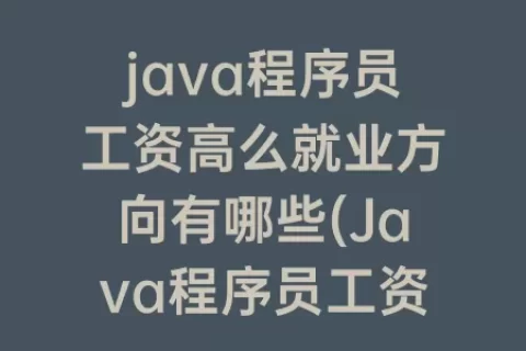 java程序员工资高么就业方向有哪些(Java程序员工资高么就业方向有哪些)