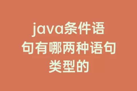 java条件语句有哪两种语句类型的