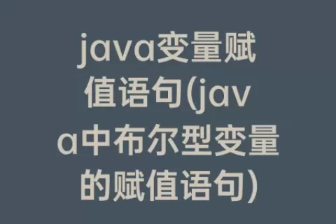 java变量赋值语句(java中布尔型变量的赋值语句)