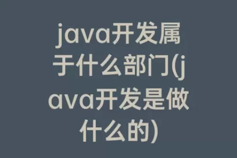 java开发属于什么部门(java开发是做什么的)