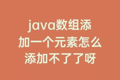 java数组添加一个元素怎么添加不了了呀