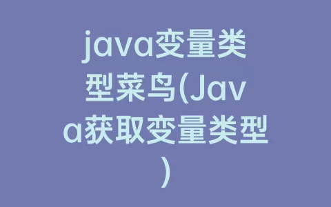 java变量类型菜鸟(Java获取变量类型)
