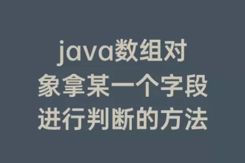 java数组对象拿某一个字段进行判断的方法