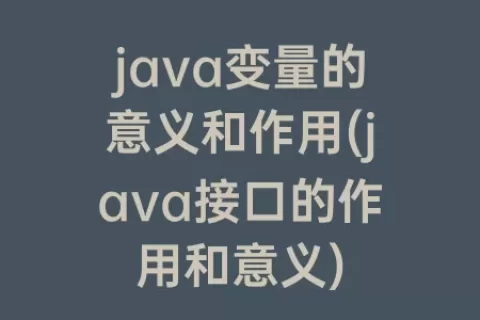 java变量的意义和作用(java接口的作用和意义)
