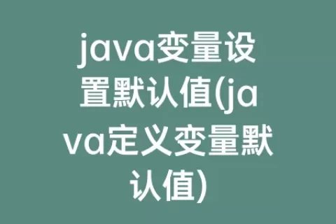 java变量设置默认值(java定义变量默认值)