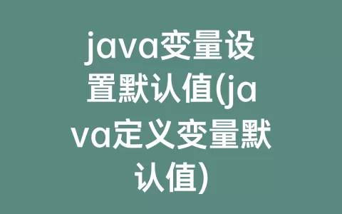 java变量设置默认值(java定义变量默认值)