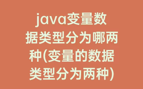 java变量数据类型分为哪两种(变量的数据类型分为两种)