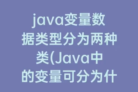 java变量数据类型分为两种类(Java中的变量可分为什么数据类型)