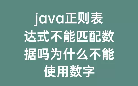java正则表达式不能匹配数据吗为什么不能使用数字