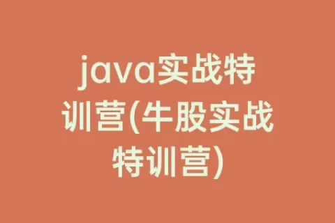 java实战特训营(牛股实战特训营)