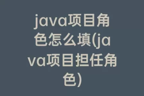 java项目角色怎么填(java项目担任角色)
