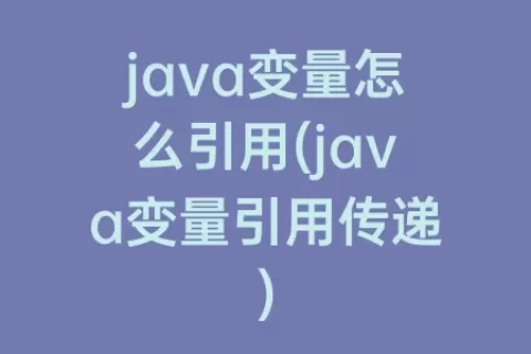 java变量怎么引用(java变量引用传递)