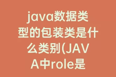 java数据类型的包装类是什么类别(JAVA中role是什么数据类型)