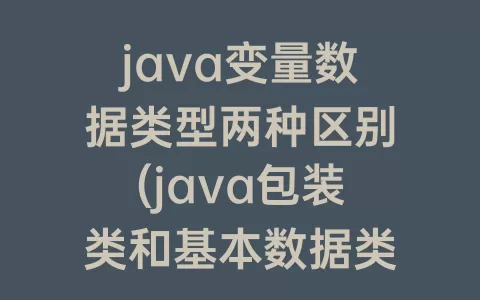 java变量数据类型两种区别(java包装类和基本数据类型的区别)