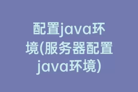 配置java环境(服务器配置java环境)