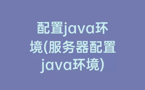 配置java环境(服务器配置java环境)