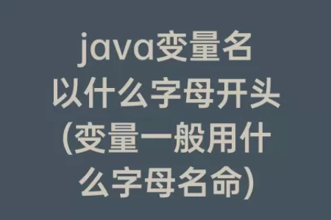 java变量名以什么字母开头(变量一般用什么字母名命)