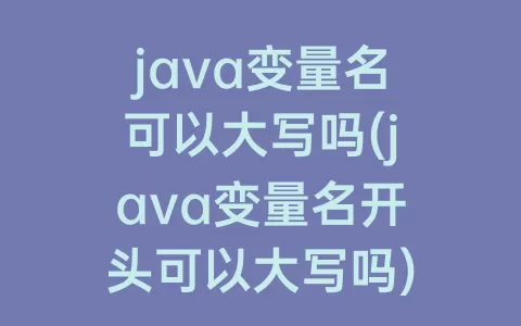 java变量名可以大写吗(java变量名开头可以大写吗)
