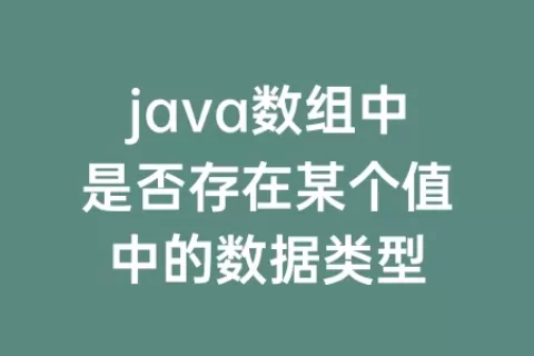 java数组中是否存在某个值中的数据类型
