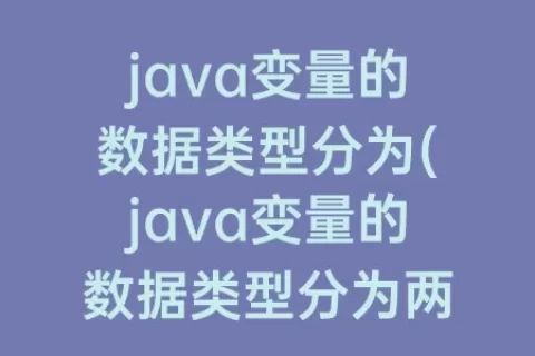 java变量的数据类型分为(java变量的数据类型分为两种)