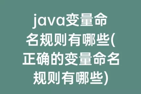 java变量命名规则有哪些(正确的变量命名规则有哪些)
