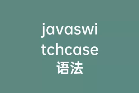 javaswitchcase语法