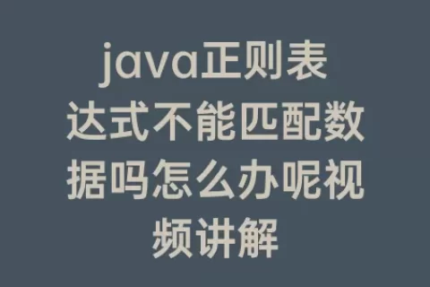 java正则表达式不能匹配数据吗怎么办呢视频讲解