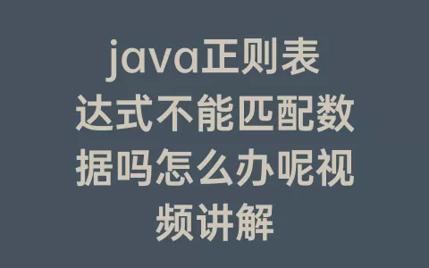 java正则表达式不能匹配数据吗怎么办呢视频讲解