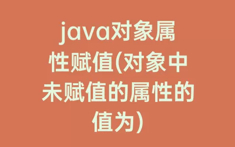 java对象属性赋值(对象中未赋值的属性的值为)