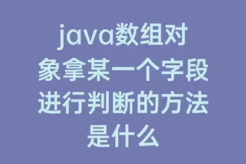 java数组对象拿某一个字段进行判断的方法是什么
