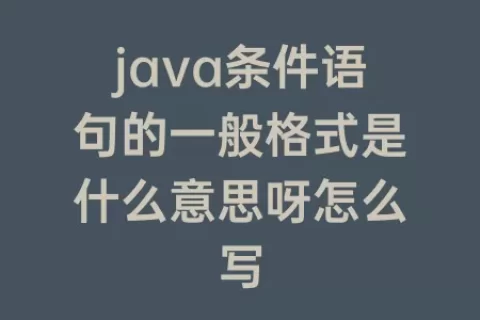 java条件语句的一般格式是什么意思呀怎么写
