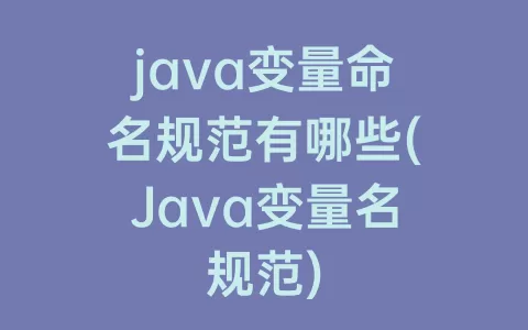 java变量命名规范有哪些(Java变量名规范)