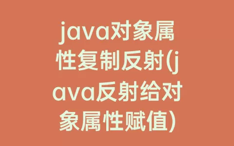 java对象属性复制反射(java反射给对象属性赋值)