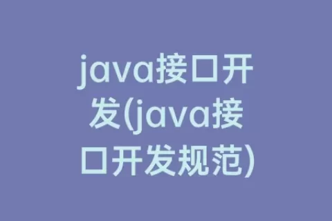 java接口开发(java接口开发规范)