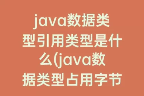java数据类型引用类型是什么(java数据类型占用字节数)