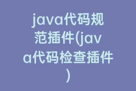 java代码规范插件(java代码检查插件)
