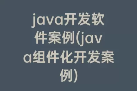 java开发软件案例(java组件化开发案例)