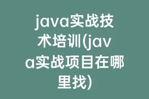 java实战技术培训(java实战项目在哪里找)