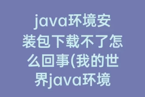 java环境安装包下载不了怎么回事(我的世界java环境安装包下载不了)