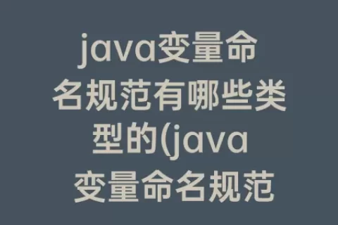 java变量命名规范有哪些类型的(java 变量命名规范)