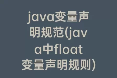 java变量声明规范(java中float变量声明规则)